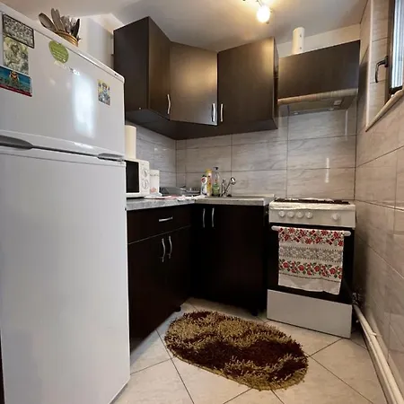 Casa Doina Holiday home