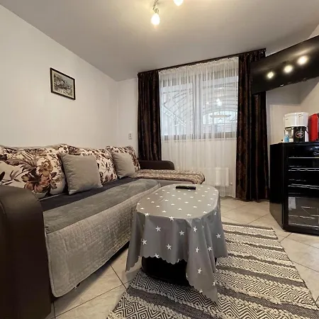 Casa Doina Holiday home Vatra Dornei