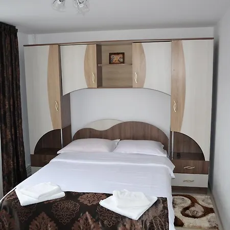 Casa Doina Holiday home